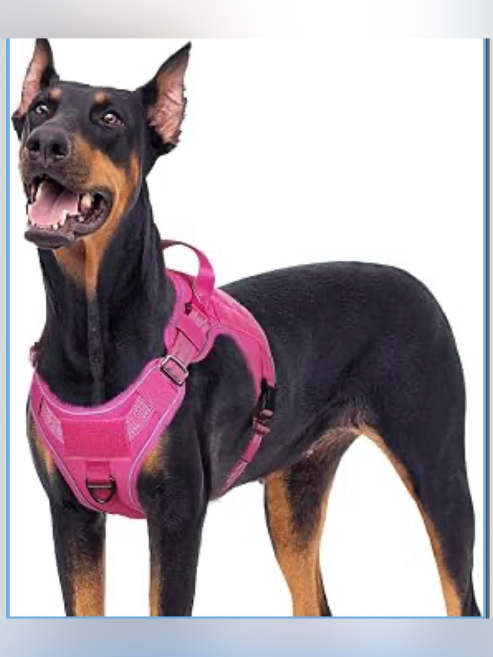 Tactical Dog Harness For Large Dogs, No Pull Service Pet Vest With Molle XL